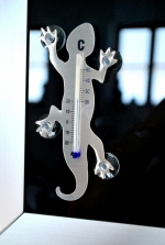 Das Gecko Thermometer