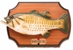 Der Billy Bass - Singende Fisch
