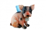 Schweinehund - Sparschwein